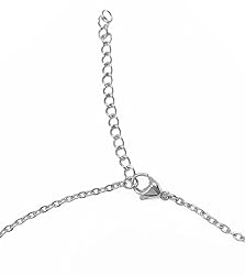 Aoloshow Stephanie Name Pendant Necklace Nameplate