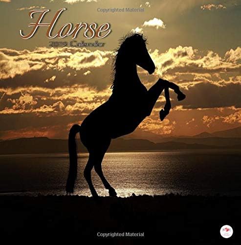 Horse 2019 Calendar: Wall Calendar 2019 Horses Mini 8.5 x 8.5 12 Month Colorful Horse Images Paperback – 7 Sep 2018