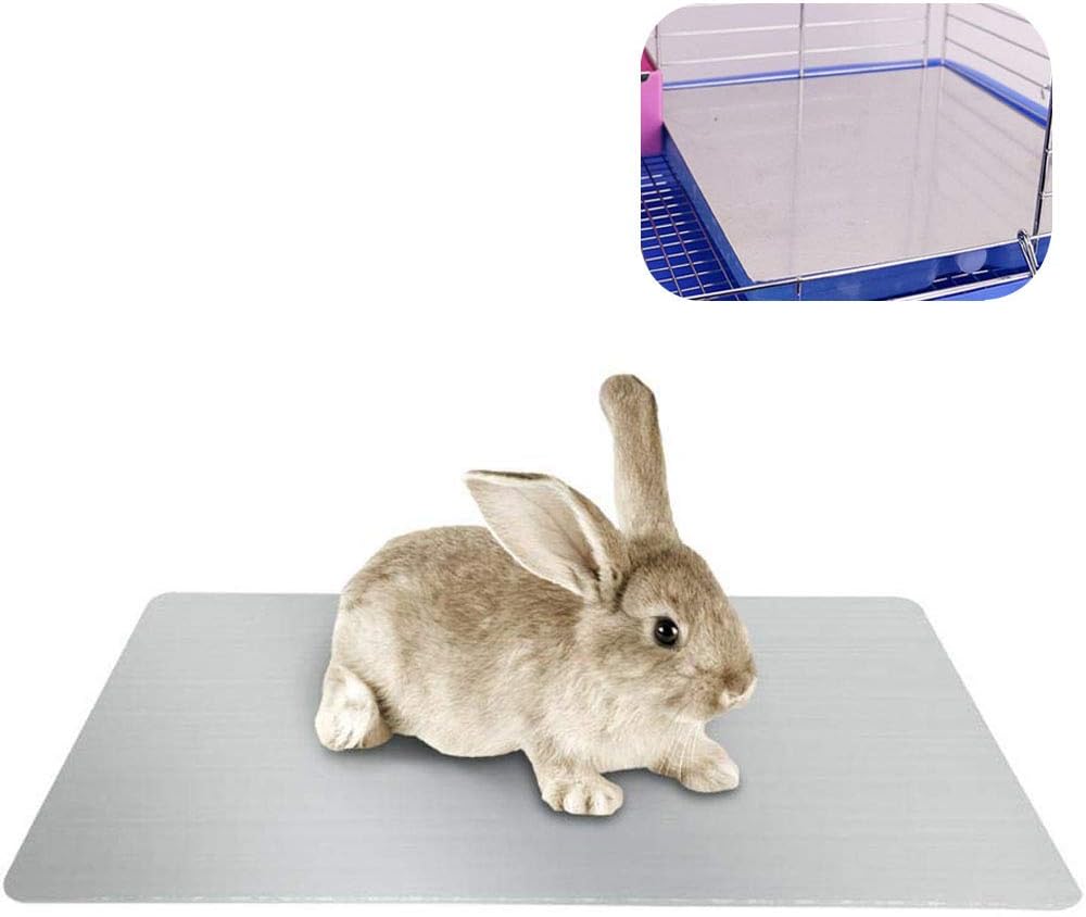 airedale terrier kennel club