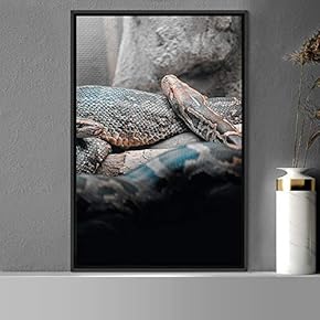 signwin Framed Canvas Wall Art Snake Contemporary Dramatic...