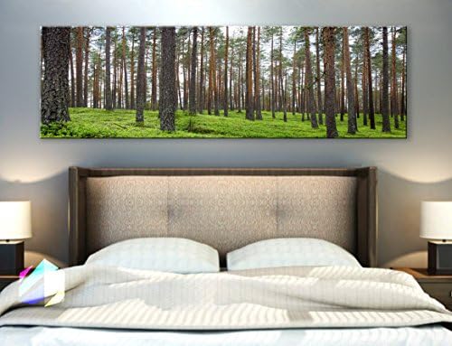 Original by BoxColors Single panel 3 Size Options Art Canvas Print forest landscape nature pines trees wood tropical relax Wall Home Office decor (framed 1.5" depth)