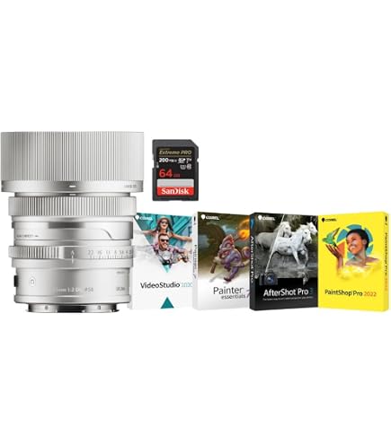 Amazon.com: Sigma 35mm F2 DG (Silver) | Contemporary for L Mount