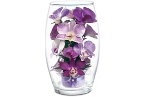 THE DANBURY MINT Miracle Orchids - 12 Preserved Real Orchids - Unique Everlasting Orchids - Gift for Mom #4607-0017