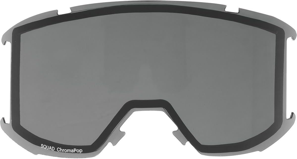 Smith Squad Replacement Goggle Lens BigaMart