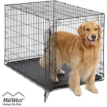 Large Dog Crate | MidWest ICrate Folding Metal Dog Crate | Divider Panel, Floor Protecting Feet Large Dog