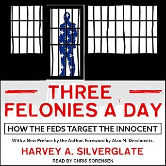 Three Felonies a Day