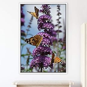 signwin Framed Canvas Wall Art Butterflies Butterfly Colorful...