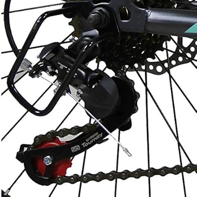 saigula fat tire bicycle