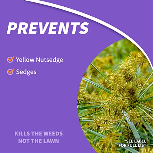 Bonide 069 Sedge Ender Crabgrass & Nutsedge Killer, 16oz. Quantity 1