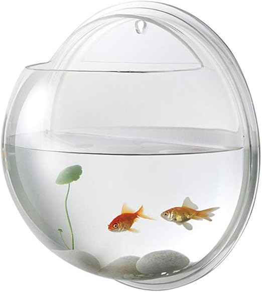 wall mounted fish bowl