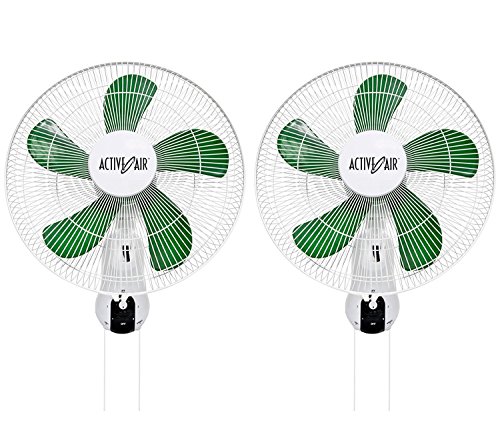 (2) HYDROFARM ACF16 Active Air 16" Wall Mountable Oscillating Hydroponic Fans