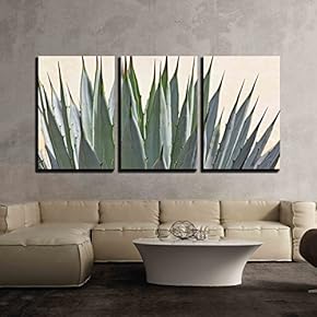Detailed Cactus Succulent - 3 Panel Canvas Art