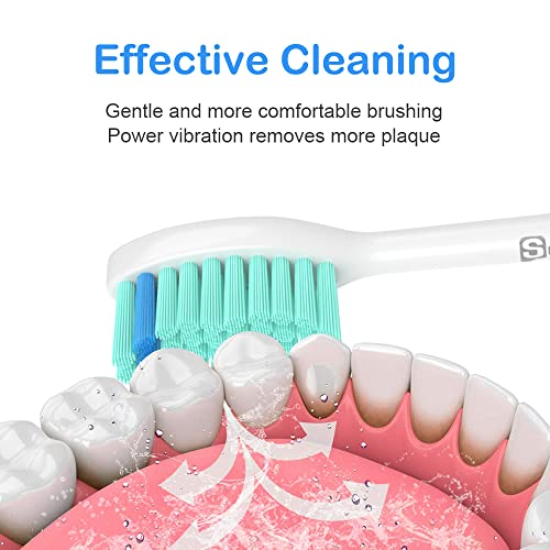 Senyum Replacement Toothbrush Heads, Compatible with Philips Sonicare Toothbrush Head Electric Handles, 12 Pack (All Click On)