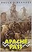 Apache Pass (A Gabriel Torrent Western Book 3)