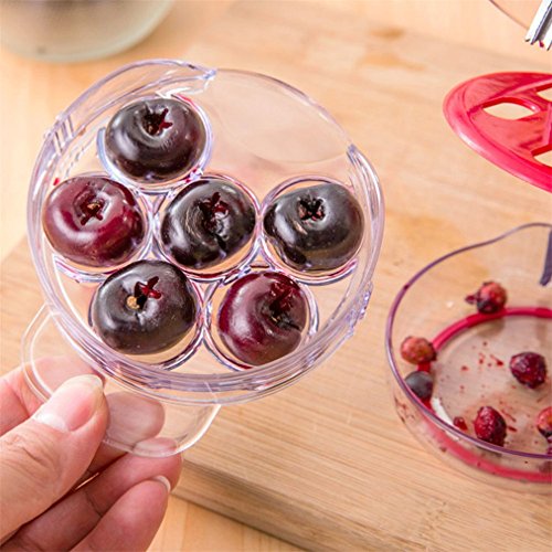 3 Amytalk+Cherry+Pitter+Multiple+Cherrystone
