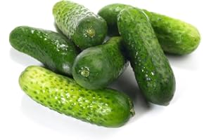 50pcs Heirloom Cucumber Seeds for Planting Canada Vegetable Seeds Limitless Growth Easy to Grow