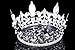 4.5'' Tall Fleur-De-Lis King Royal Full Crown - Silver Plated Clear Crystals T1010