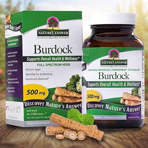 Nature's Answer Burdock Root, 90-Count Capsules Antioxidant Burdock Root