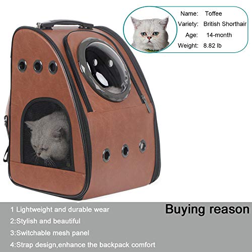 texsens bubble backpack