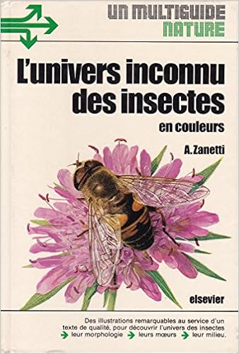 Amazon Fr L Univers Inconnu Des Insectes Zanetti Adriano Livres