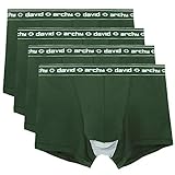 David Archy Men's 4 Pack Micro Modal Separate Pouches Trunks (L,Green)