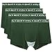 David Archy Men's 4 Pack Micro Modal Separate Pouches Trunks (L,Green)