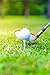 AckBrands MeasureTees Golf Tees - 2 3/4 or 3 1/4 Inch - Wood (100 Pack) or Plastic (30 Nearly Unbreakable)