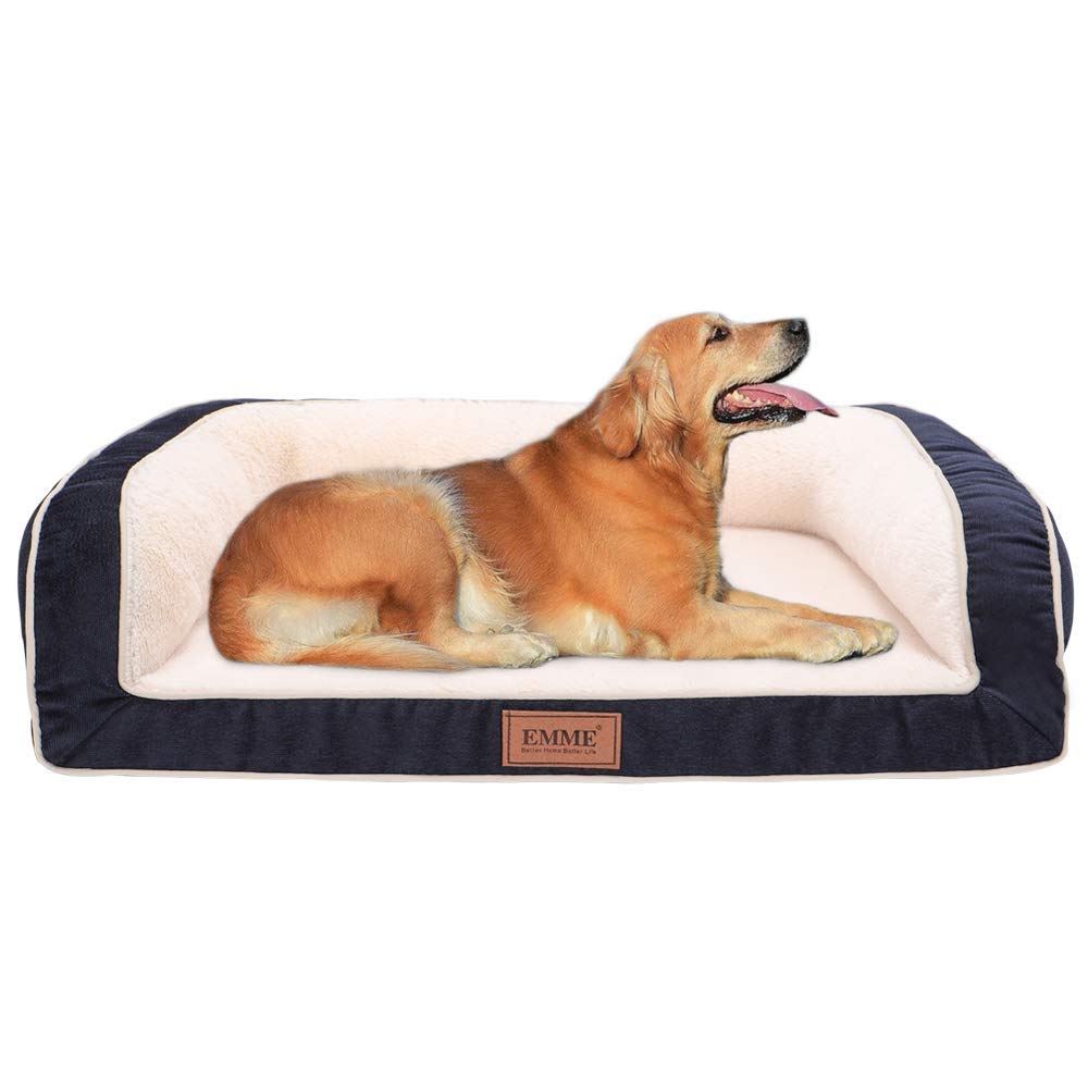 Best sofa bed for dogs