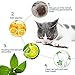 Matatabi Cat Catnip Sticks 25 Pcs or 50 pcs Cat Chew Sticks Dental Cleaning for Cats Organic Silver Vine Dental Treats Molar Chew Toy