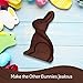 DOVE Easter Dark Chocolate Candy Solid Easter Bunny 4.5-Ounce Box