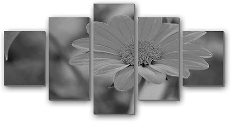 Amazon Co Jp オレンジのガーベラ 花 310 白黒 5枚 パネル アートパネル 現代壁の絵 壁掛け部屋飾り背景絵画 キャンバス写真 壁アートしゃしん 木枠付きの完成品 装飾 軽くて取り付けやすい ホーム キッチン