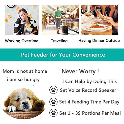 Xuliyme Automatic Cat Feeder Auto Pet Food Dispenser with LCD Display,Voice Record Remind, Timer Programmable, Portion Control for Medium & Large Dog - 4 Meals a Day - Thumbnail 2