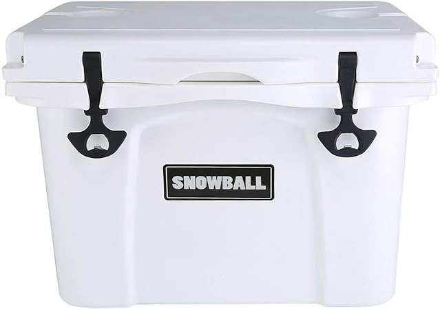 crompton cooler pump price