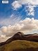 Earthly Beauty