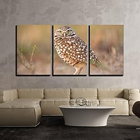 3 Piece Canvas Wall Art - a Standing Owl - Modern Home Art Stretched and Framed Ready to Hang - 16"x24"x3 Panels