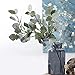 Eucalyptus Leaves Artificial leaf Artificial Greenery Silver Dollar Eucalyptus Leaf Spray in Green Artificial Greenery Holiday Greens Christmas Greenery Leaves for Wedding Party Home Decor, 25.6