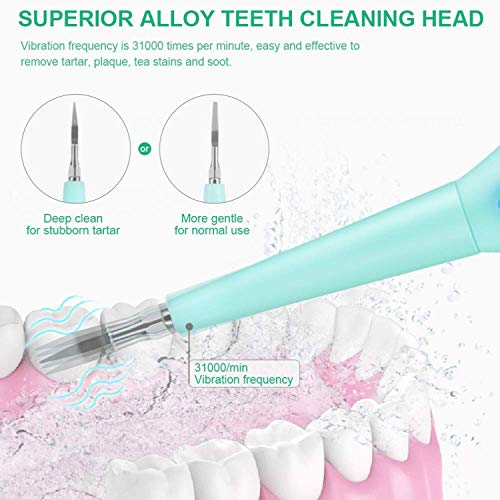 Electric Dental Calculus Remover Plaque Remover for Teeth with Electric Sonic Toothbrush Ultrasonic Tartar Scraper Stain Remover with Dental Picks Mirror(Green) - Thumbnail 3