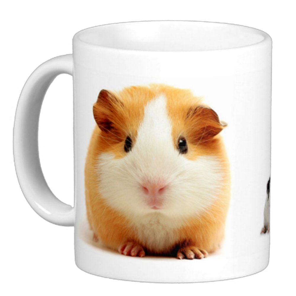 Personalised GUINEA PIG Mug Cup . Add any Name or Message IL718
