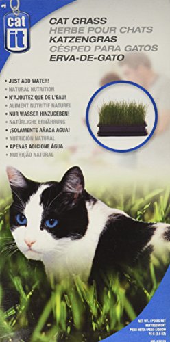 Catit Cat Grass - Image 4
