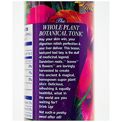 Prebiotic Tea LION (Blueberry Hibiscus) Dandelion Improve Digestion & Reduce Bloating Our Prebiotics Feed Your Probiotics Boost Immune System Delicious and Refreshing Bottled Tea Dandelion Leaf Root