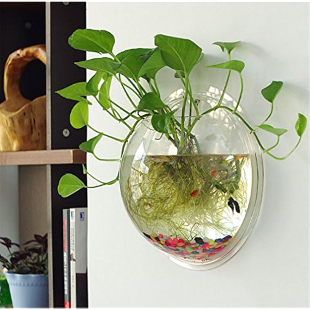 Hanging Wall Mounted Fish Bowl Aquaponic Tank Aquariums Plant Bubble