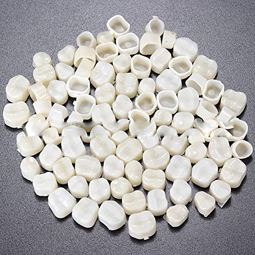 6 Dental+Temporary+Synthetic+Teeth+Anterior