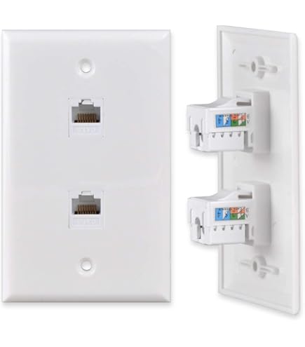 FGB RJ45 Socket Faceplate Wall Plate, RJ45 Wall Sockets Cat6 Single Port For CAT6/CAT5E/CAT5 Ethernet Cable Networking Socket Box With Keystones Jack Modular, 2 Pack