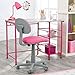 Calico Designs Study Zone II Desk & Chair -
