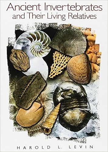 Ancient Invertebrates And Their Living Relatives Levin Harold L 9780137489558 Amazon Com Books