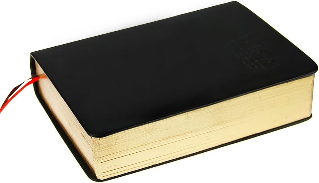 LY Soft Faux Leather Thick 480 Pages Blank Notebook Daily Bible Study Notebook Diaries Well Bound Drawing Sketchbook Scriptbook Life Records (B6 - Image 3