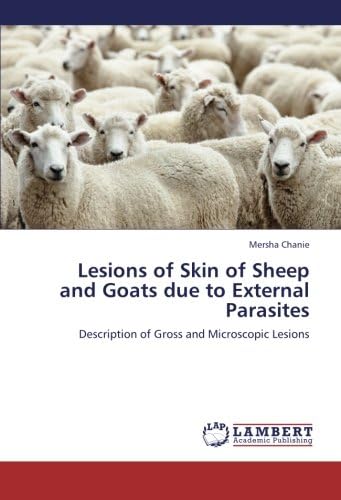 Lesions of Skin of Sheep and Goats Due to External Parasites