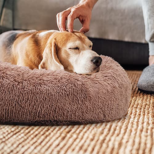 Calming Dog Beds for Medium Dogs Shag Donut Cuddler Dog Bed Washble