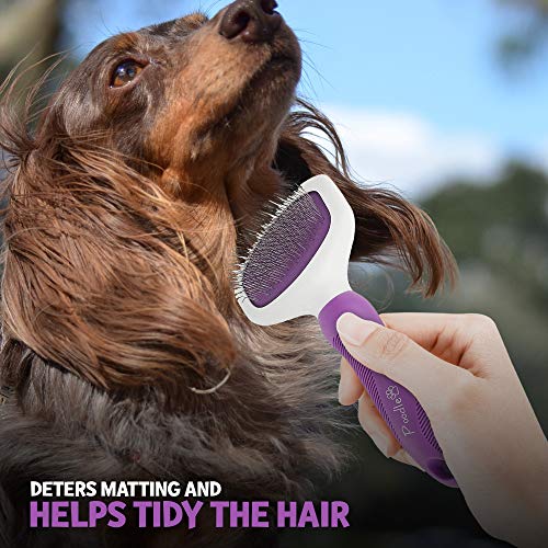Poodle Pet Slicker Brush for Small and Large Dogs Pet Hair Remover with Rotating Head | Effectively and Effortlessly… - Image 6
