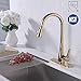 KES cUPC NSF Certified BRASS Singel Handle Pull Down Kitchen Faucet with Retractable Pull Out Wand, High Arc Swivel Spout, Titanium Gold, L6910LF-PG